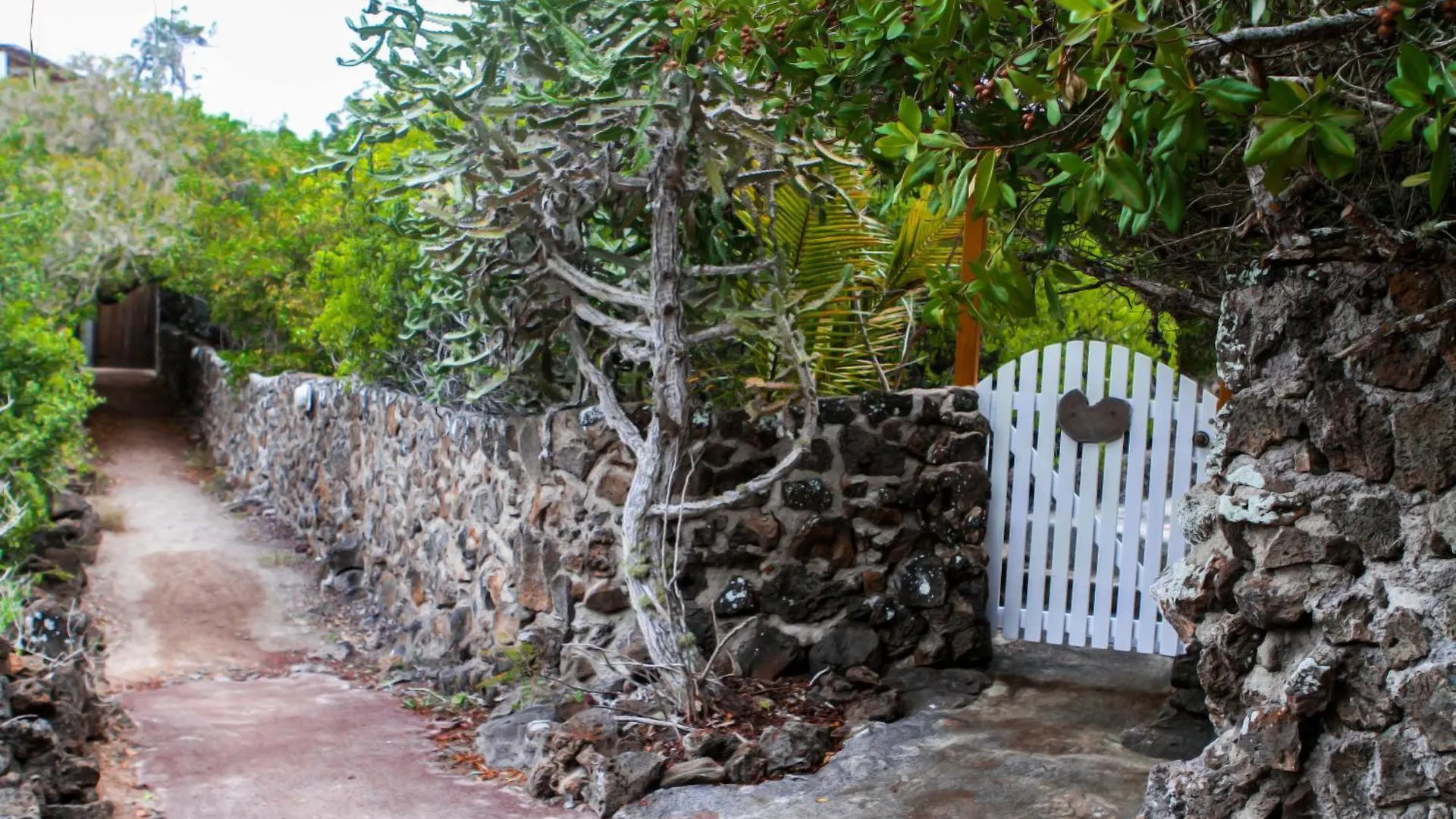Jean'S Home Puerto Ayora  Pensionat Puerto Ayora (Galapagos Islands)