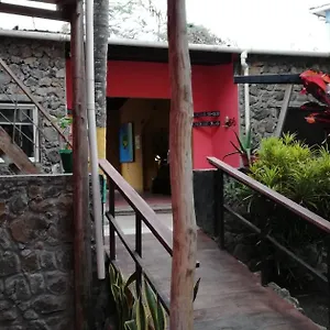 Galapagos Morning Glory Hostel